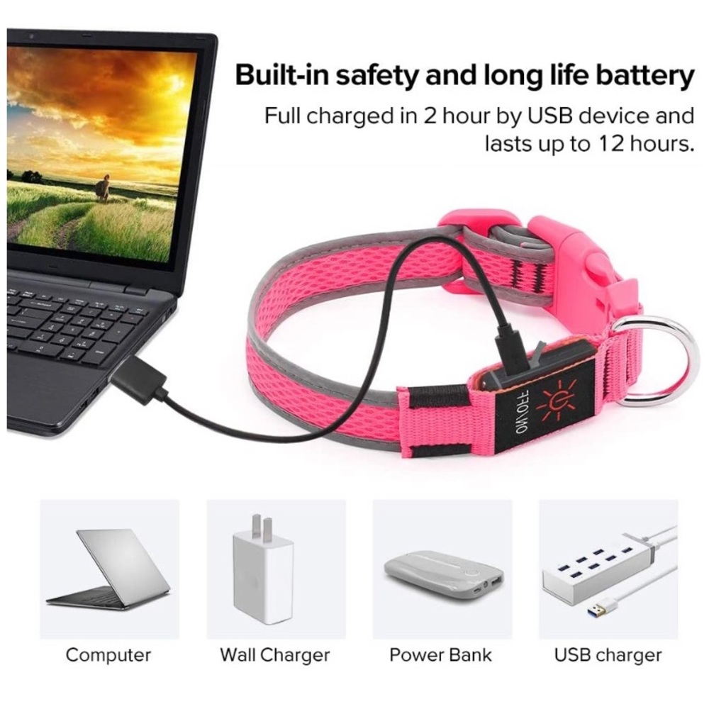 🆕 Clan-x LED Dog Collar, USB Rechargeable& Adjustable - Picture 3 of 7